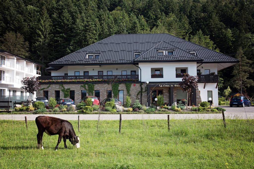 La Conac In Bucovina Hotel Gura Humorului Exterior photo